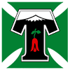 ˹