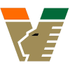 ˹
